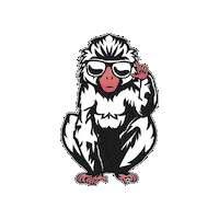 Drinknoevil Sticker by Snow Monkey