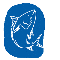 Sea Love Sticker by Marine Stewardship Council (MSC)