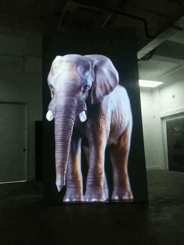 AbsolutelyCultured giphyupload GIF