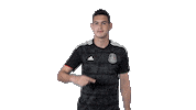 mexico national team football Sticker by MiSelecciónMX