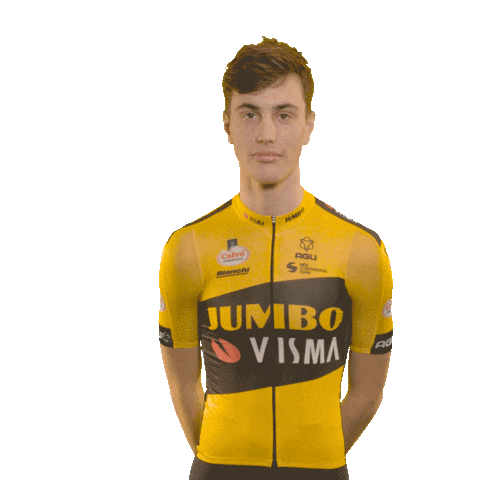Tour De France Cycling Sticker by Team Jumbo-Visma