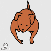 Huevos GIF