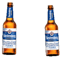 Beer Cheers Sticker by Fürstenberg