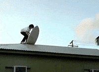 surfing fail GIF