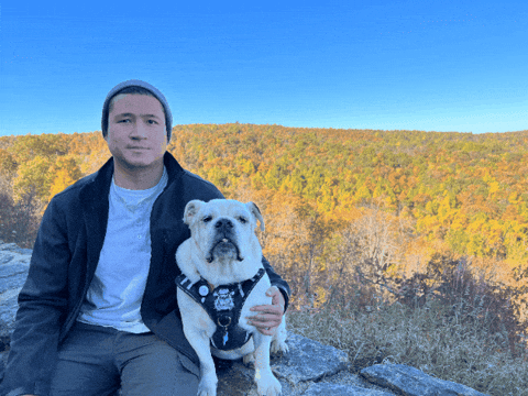 jamie-mannina giphygifmaker giphyattribution GIF