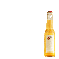 Energia Solar Sticker by Cerveja SOL