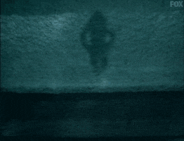 x files GIF by The X-Files