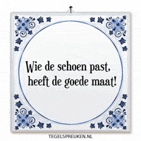 Humor Reflectie GIF by Tegelspreuken.nl
