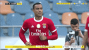 SL_Benfica thumbs up clap clapping benfica GIF
