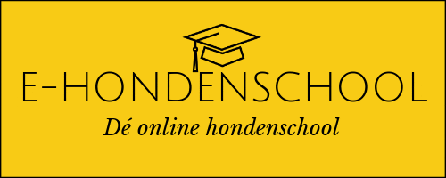 Ehondenschool giphyupload e-hondenschool ehondenschool hondenschool GIF