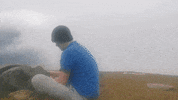 albacampers  GIF
