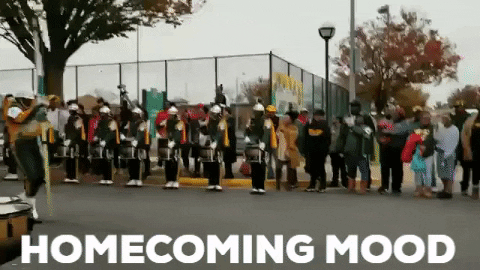 Homecoming GIF by Norfolk State