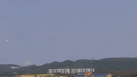 yj_jane giphyupload GIF