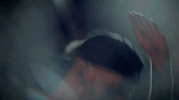 xambassadors jungle x ambassadors GIF