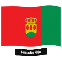 Comunidad De Madrid Flag Sticker by Formación Ninja