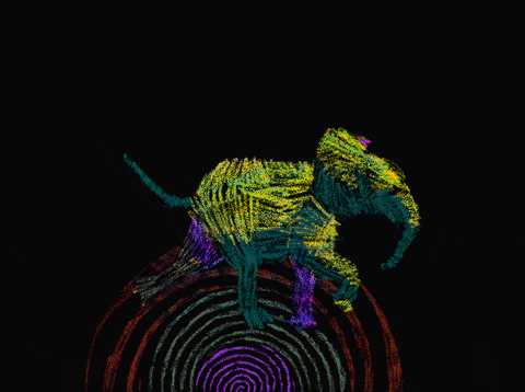 animation running GIF by Eloy Lannoó