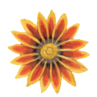 Flower Garden Flowers Sticker