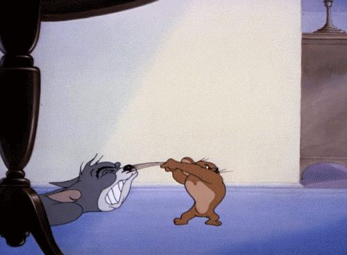 Tom And Jerry GIF