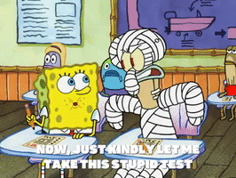 season 6 boating buddies GIF by SpongeBob SquarePants