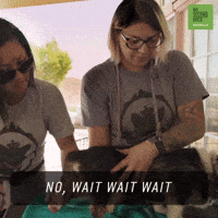 Dog Love GIF by 60 Second Docs