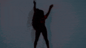 Music Video Dance GIF by Casanova Records