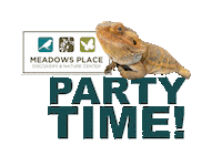 Party Time Sticker by Meadows Place