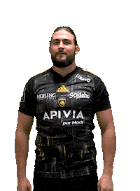 Rugby Tire Sticker by Stade Rochelais