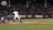 EvansvilleOtters happy excited baseball hype GIF