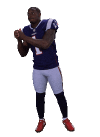 New England Patriots Stickers Sticker by NFL