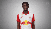 Confused Surprise GIF by FC Red Bull Salzburg