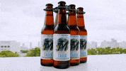Miami Marlins Drinking GIF by Biscayne Bay Brewing