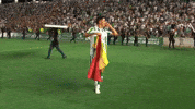 Football Feliz GIF