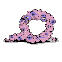 S4G Sticker by Lucas Levitan