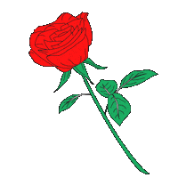 Red Rose Love Sticker by sarokey