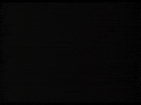 marlon brando GIF by Maudit