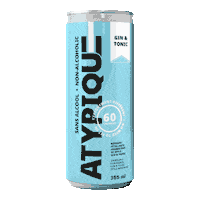 LesBreuvagesAtypique gintonic alcoholfree atypique Sticker