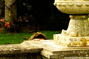 ryanmaynard giphyupload GIF