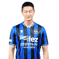 Passion Fighting Sticker by Incheon United FC