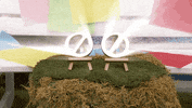 Veto Competition GIF by Big Brother