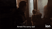 Law And Order Svu GIF by ION
