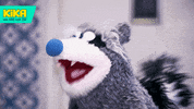 excited raccoon GIF by KiKA