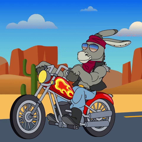 Donkey Bike