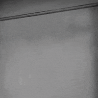 gene wilder frankenstein GIF by foxhorror