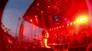 concert burger beach bash GIF by Burger Records