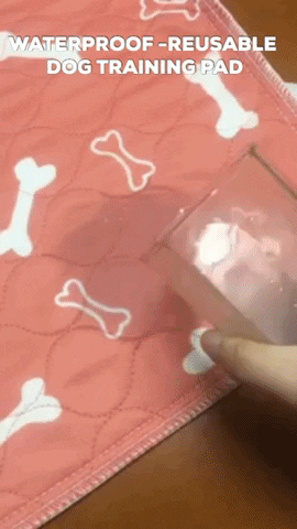 giphygifmaker GIF
