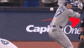 Home Run Dodgers GIF by MLB