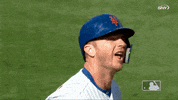 high five home run GIF by New York Mets