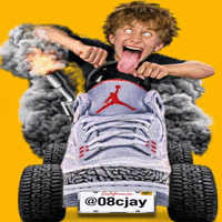 Flight Shoe GIF