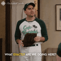schitts creek wtf GIF by CBC