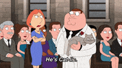 Cat GIF by Family Guy